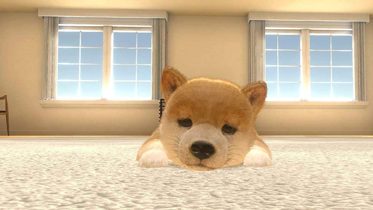 Top 50 Best Selling Video Games of All Time Nintendogs