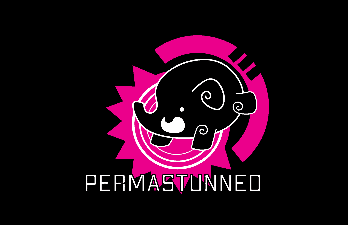 Esports as an Equalizer: A Chat with Permastunned Gaming