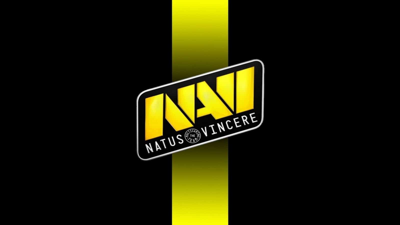 Natus Vincere Disband Fortnite Roster