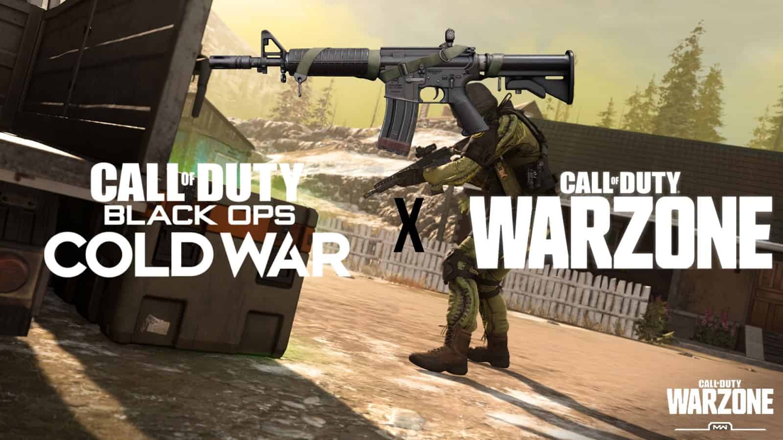 CoD: How To Use Black Ops Cold War Weapons In Warzone