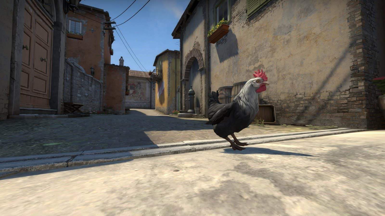 A chicken struts across an empty back alley on the Italy map