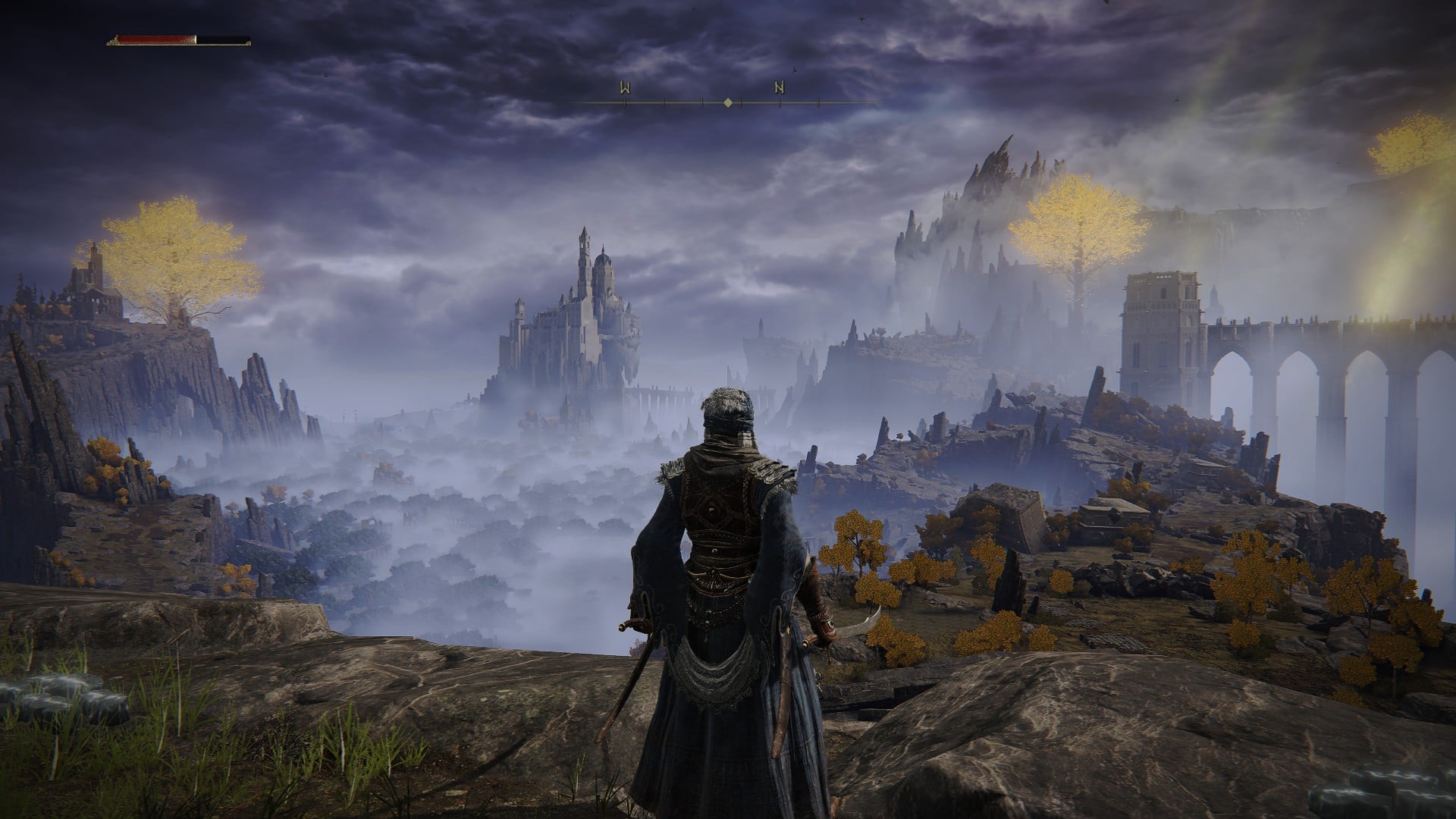 A player character in Elden Ring stands at the edge of a cliffside overlooking the game's sweeping landscape
