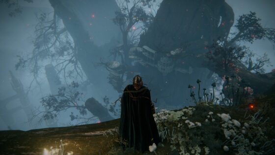 Elden Ring How to get to Miquella’s Haligtree
