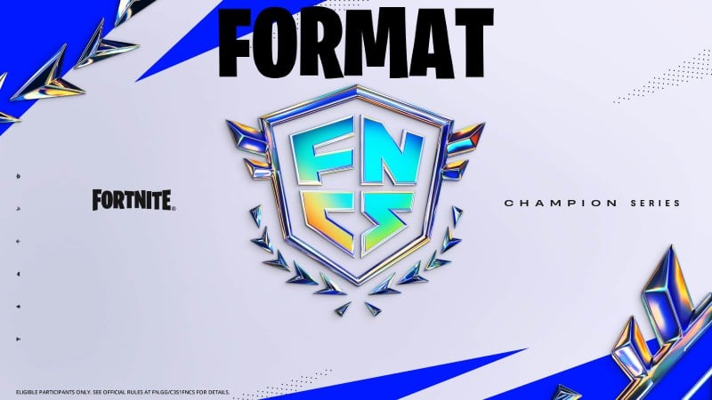 Explaining the FNCS format