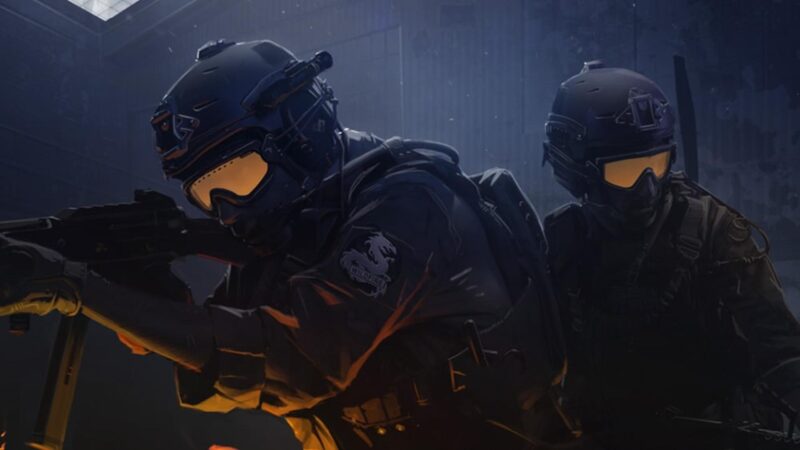 Roles in CS:GO