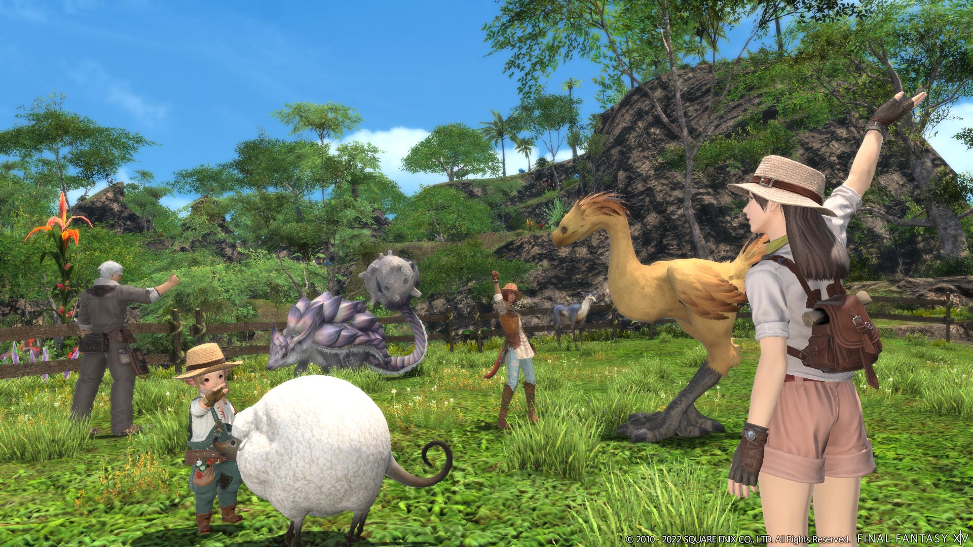 Capture and befriend critters in Final Fantasy XIV's Island Sanctuary including chocobo, karakuls and more
