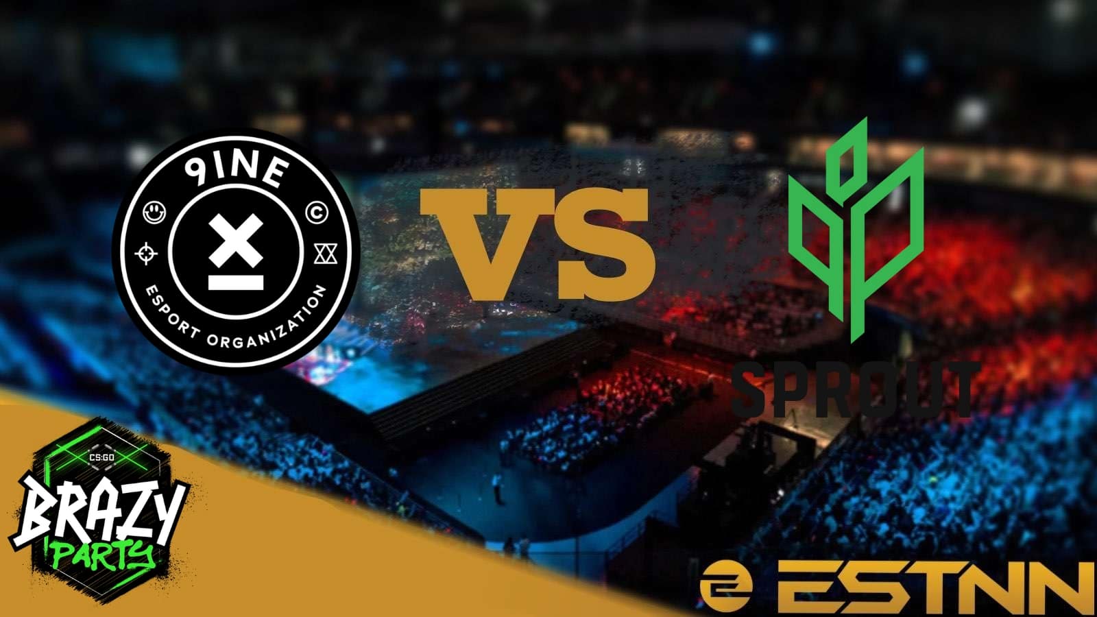 9INE vs Sprout