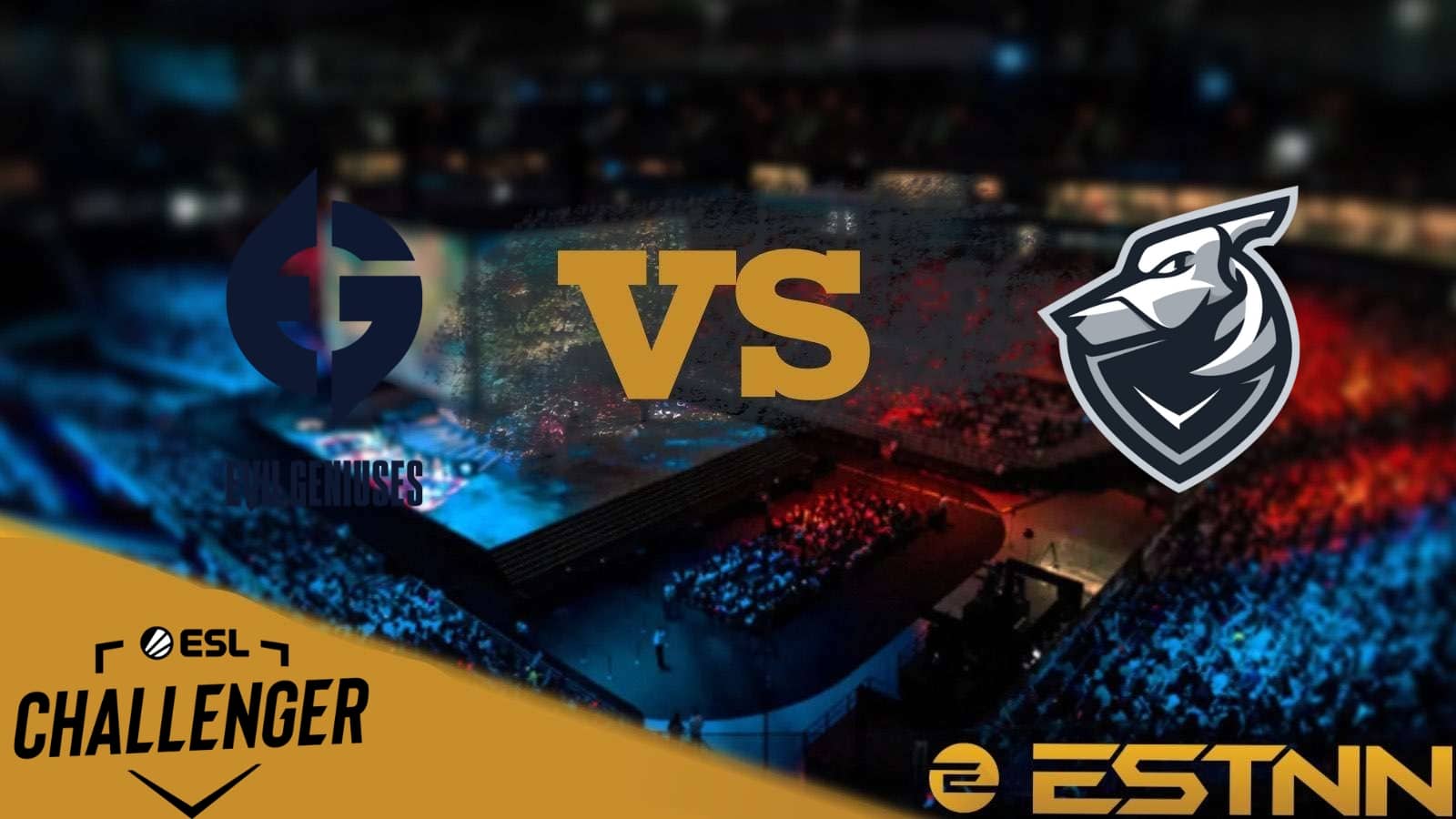 EG Black vs Grayhound