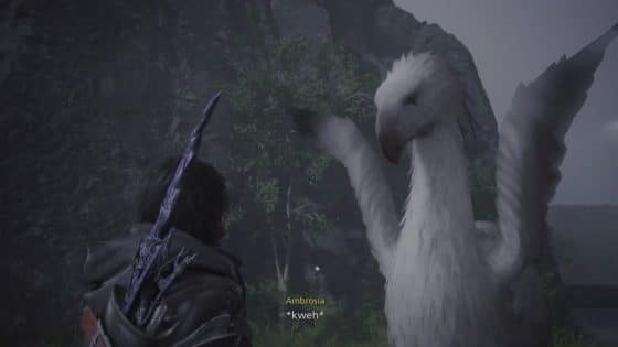 How to Get Chocobos in Final Fantasy 16 – Unlock Best Mounts