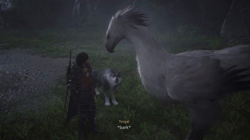 How to get chocobos in Final Fantasy 16