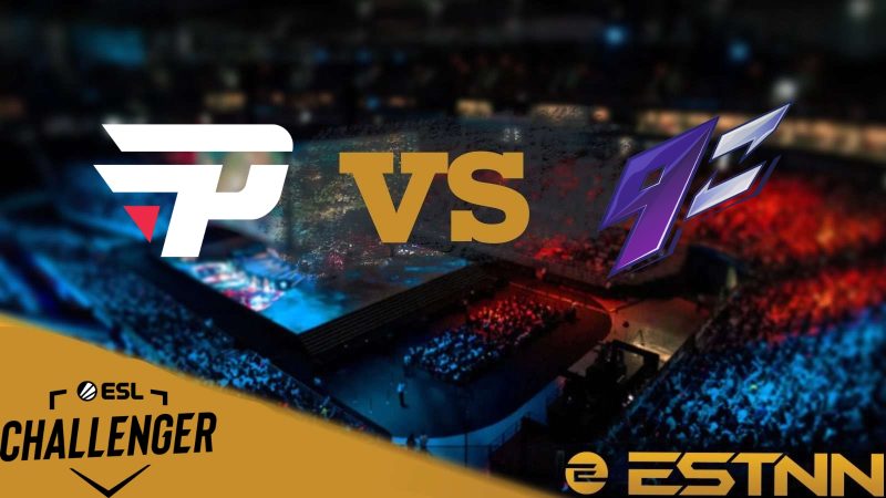 paiN vs 9z