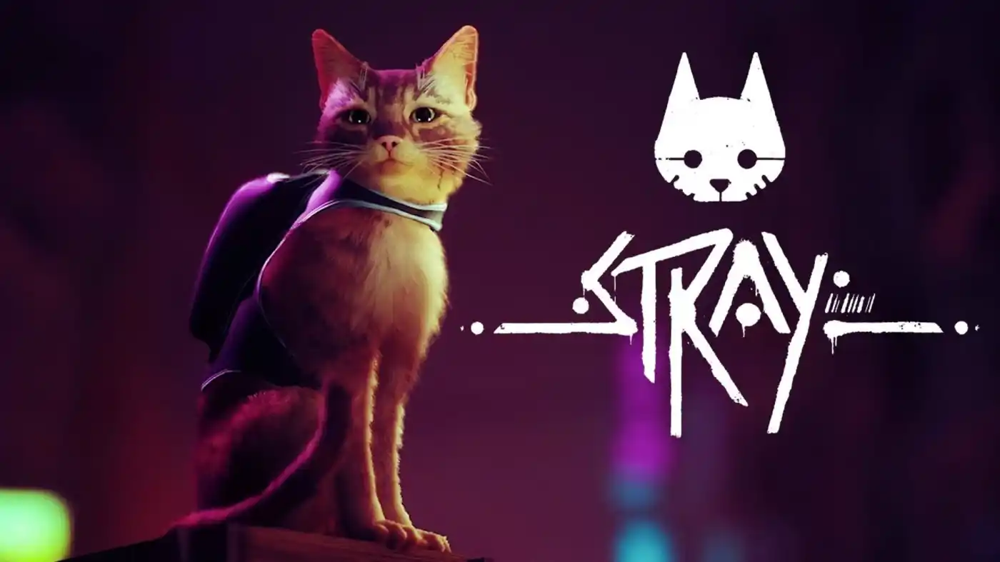 stray ps plus