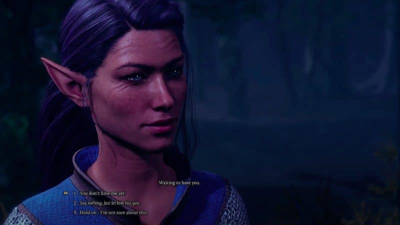 Baldur's Gate 3 Romance Options