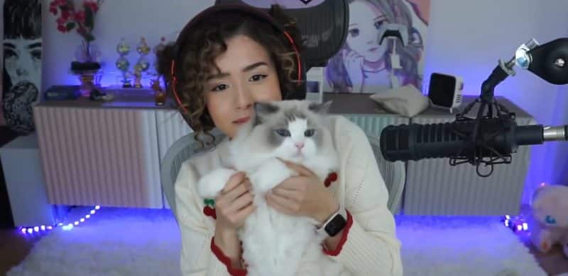 The Top 5 Streamers With The Best Backdrops In 2023!