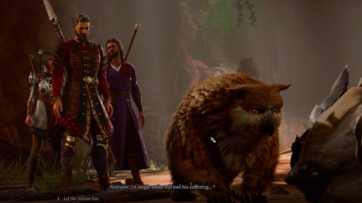 How to Get Owlbear Cub in Baldur’s Gate 3