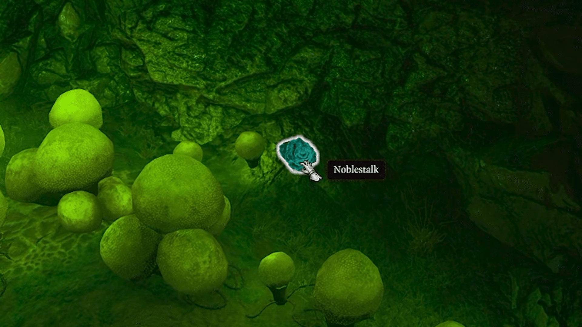 How to Find the Noblestalk in Baldur's Gate 3 credit: Dredizzle 