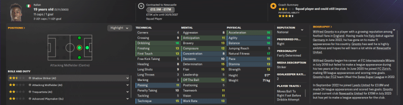 Newcastle United Taking on Europe - A Football Manager 24 Story, Part 1 Life After Howe
