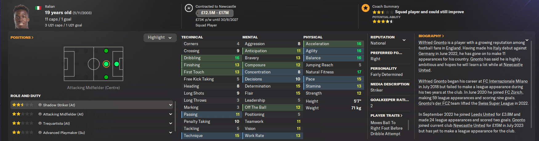 Newcastle United Taking on Europe - A Football Manager 24 Story, Part 1 Life After Howe