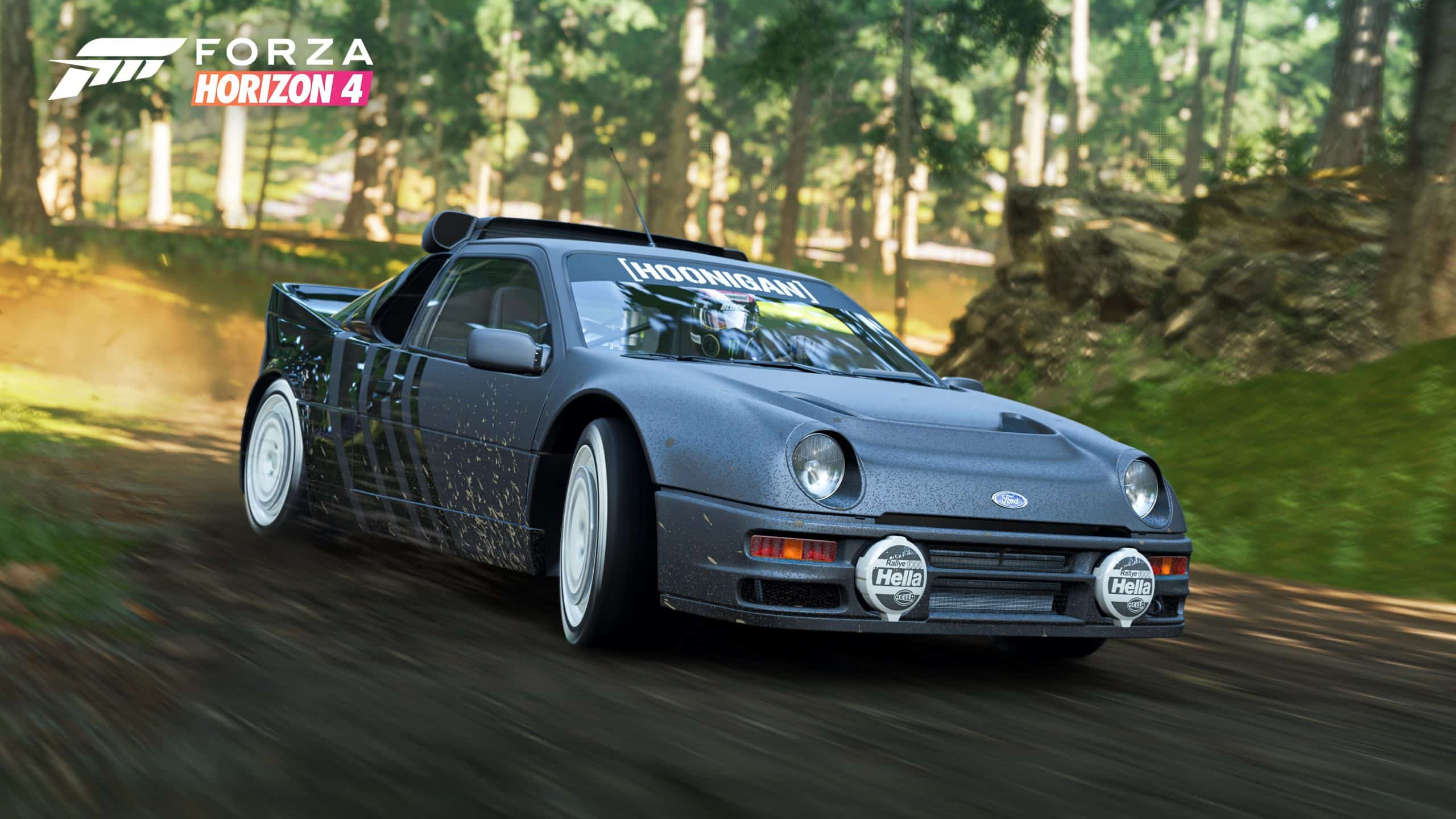 Best Rally Cars Forza Horizon 5 You Must Try