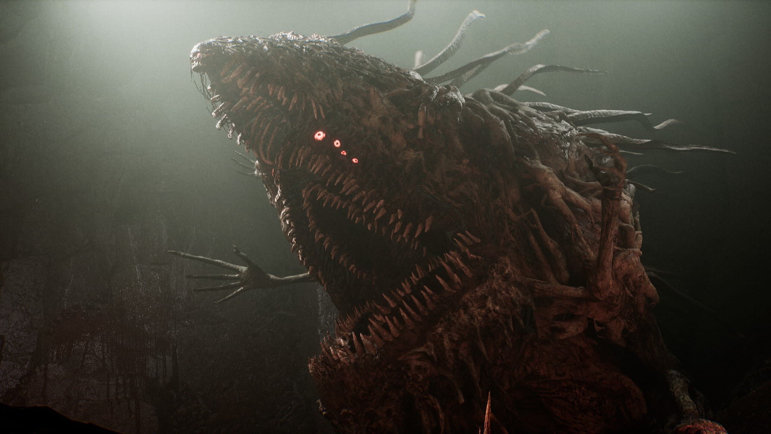 Lords of the Fallen Congregator of Flesh