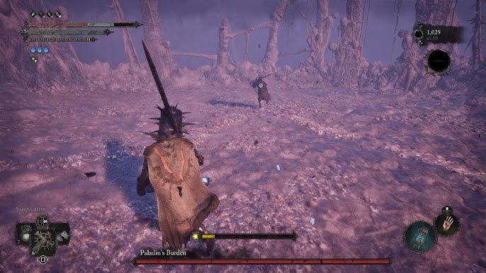 lords of the fallen paladin's burden