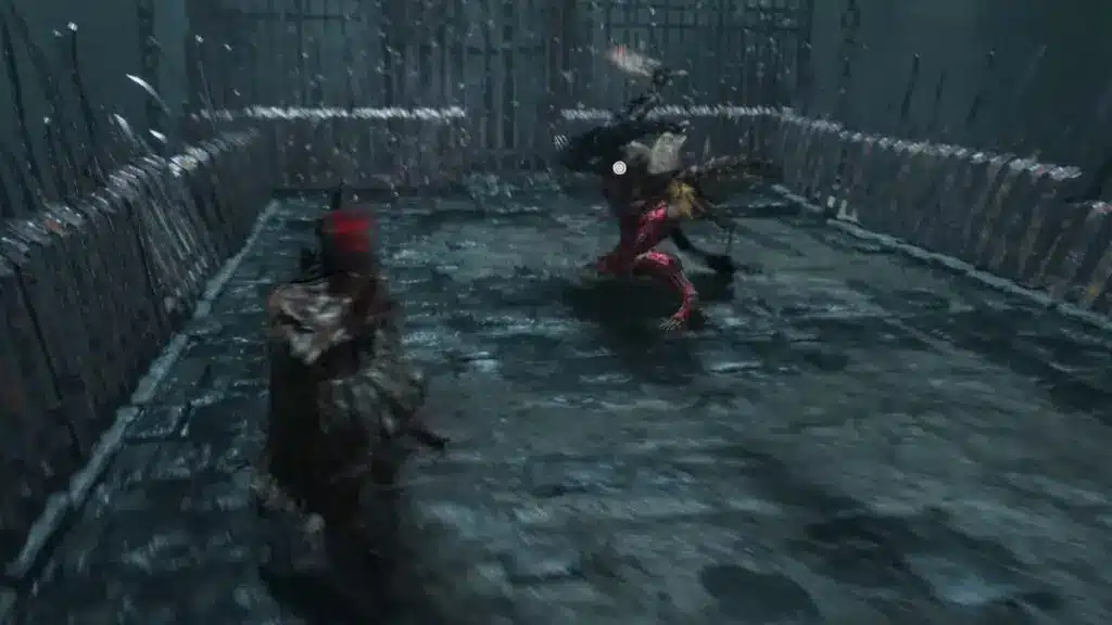 Lords of the Fallen Skinstealer