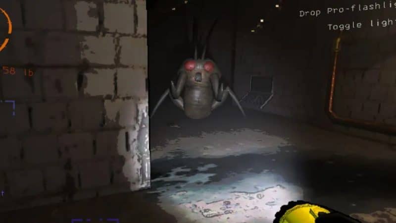 Hoarding Bug In Lethal Company: Everything You Need To Know