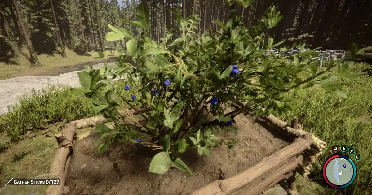 sons of the forest plants