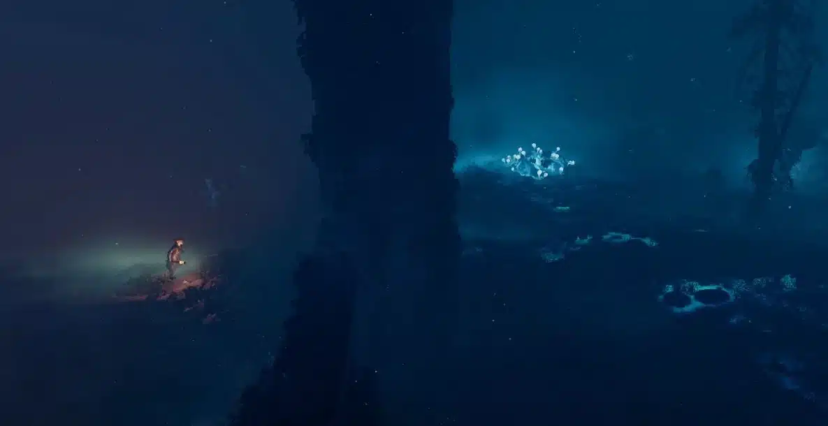 Enshrouded Ammonia Gland