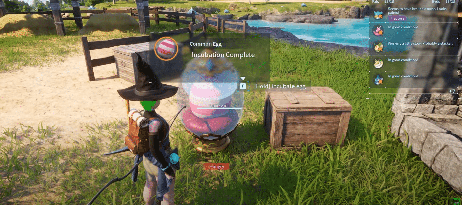 Huge Dragon Egg - How To Get It