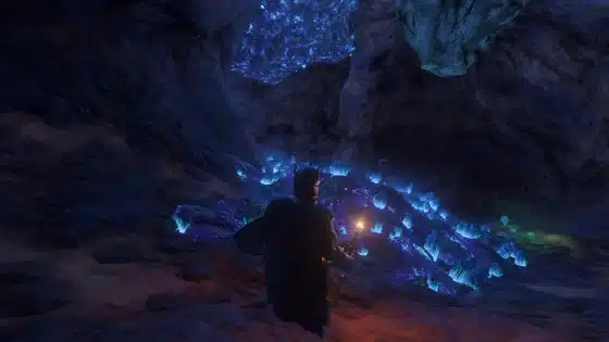 Enshrouded Luminous Growth – How to Find Luminous Growth in Enshrouded