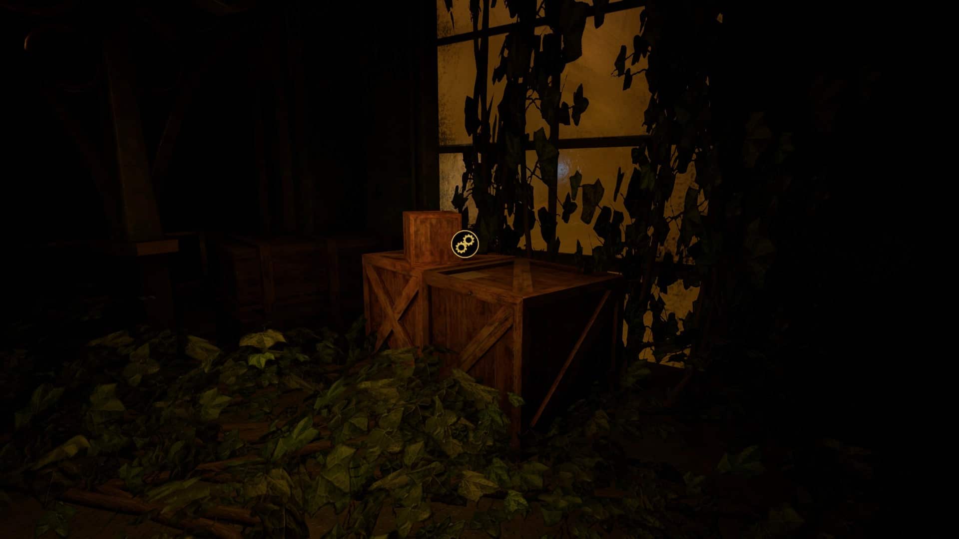 close to the sun collectibles