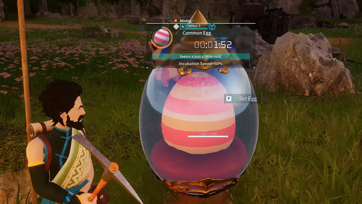 palworld egg hatch list