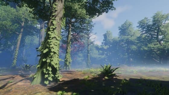 How to Get Hardwood in Enshrouded