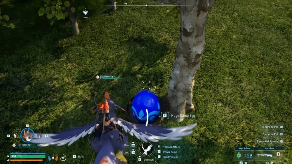 palworld suzaku aqua