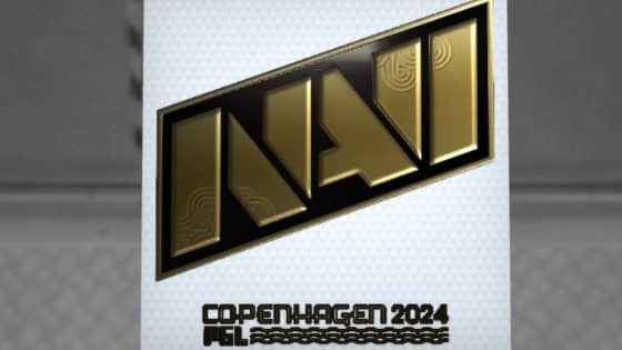 Copenhagen Major Stickers Leaked?
