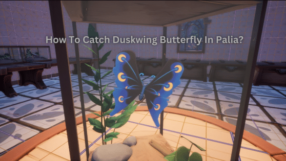 How To Catch Duskwing Butterfly In Palia?