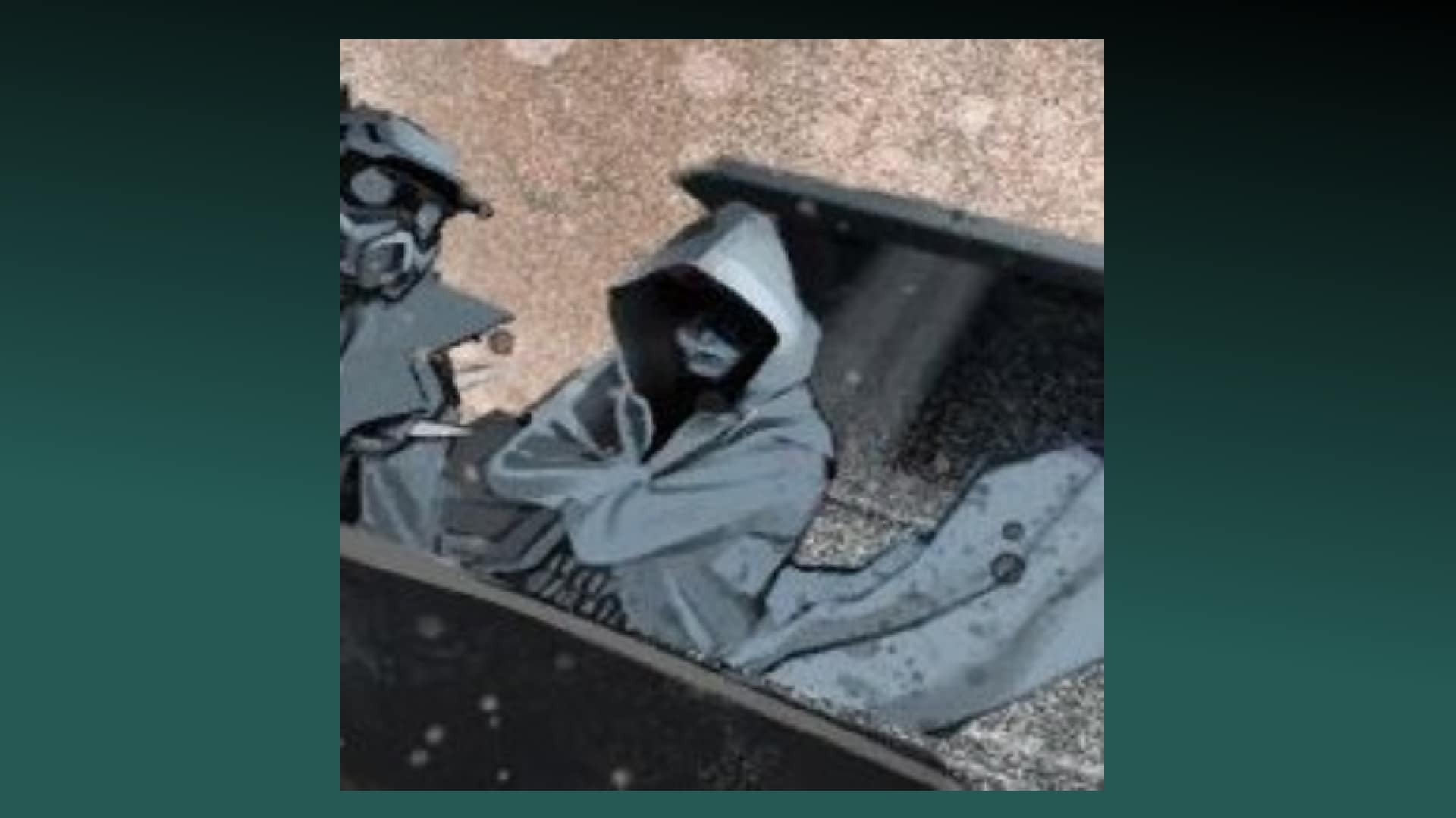 The Wanderer Fortnite - Loading Screen